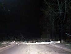 ИВВАИУ. Фото Ивана Смолкина