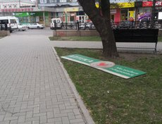 Фото Ольги Пономаревой