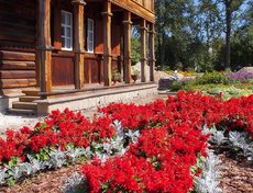 Фестиваль цветников в Иркутске. Фото Дмитрия Лихачева