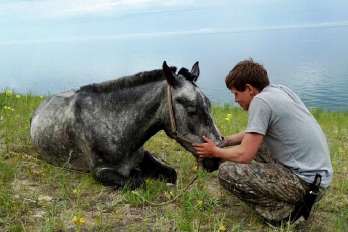 Фото horsebaikaltour.com