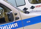 Полицейская машина. Фото с сайта www.metronews.ru