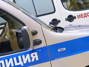 Полицейская машина. Фото с сайта www.metronews.ru