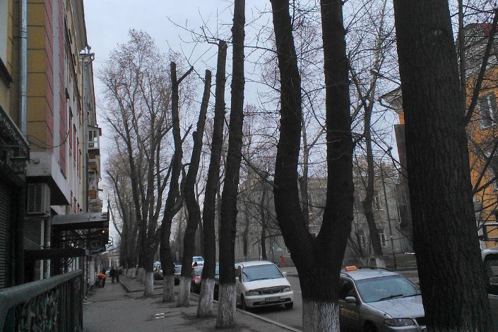 Улица 5-й Армии. Фото Григория Красовского