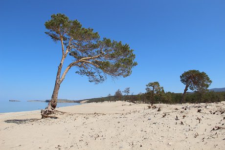 Сарайский пляж. Фото пресс-службы ФГБУ «Заповедное Прибайкалье»