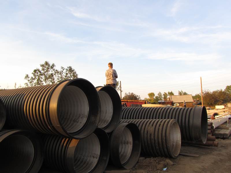 Местные жители на стройматериалах