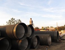 Местные жители на стройматериалах