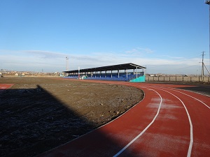 Стадион. Фото с сайта www.irksportmol.ru