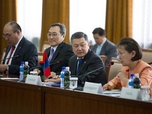 На встрече. Фото с сайта council.gov.ru