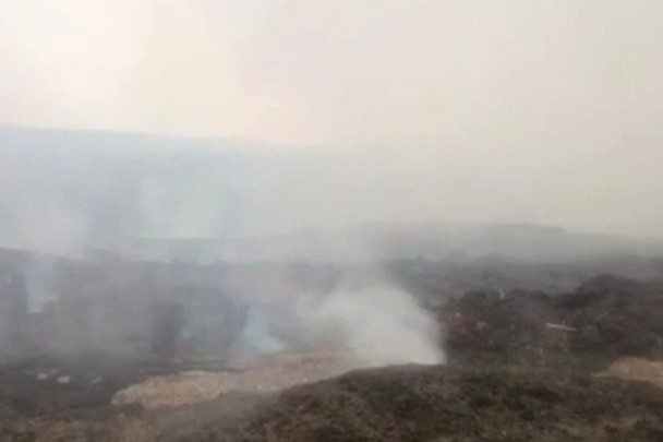 Пожар на свалке опилок. Фото ГУ МЧС России по Иркутской области