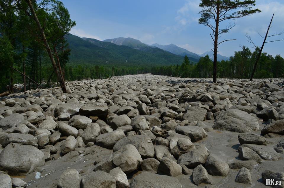 Еще вчера этой просеки и этих камней здесь не было