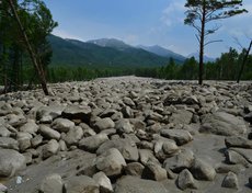 Еще вчера этой просеки и этих камней здесь не было
