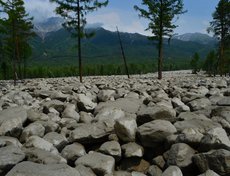 Селевый поток проложил в лесу курорта Аршан (Бурятия) каменную просеку шириной приблизительно 200-300 метров и высотой до 3-6 метров всего за 2-3 часа.