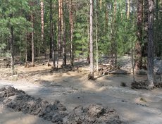 Автор фото – Клим Батороев