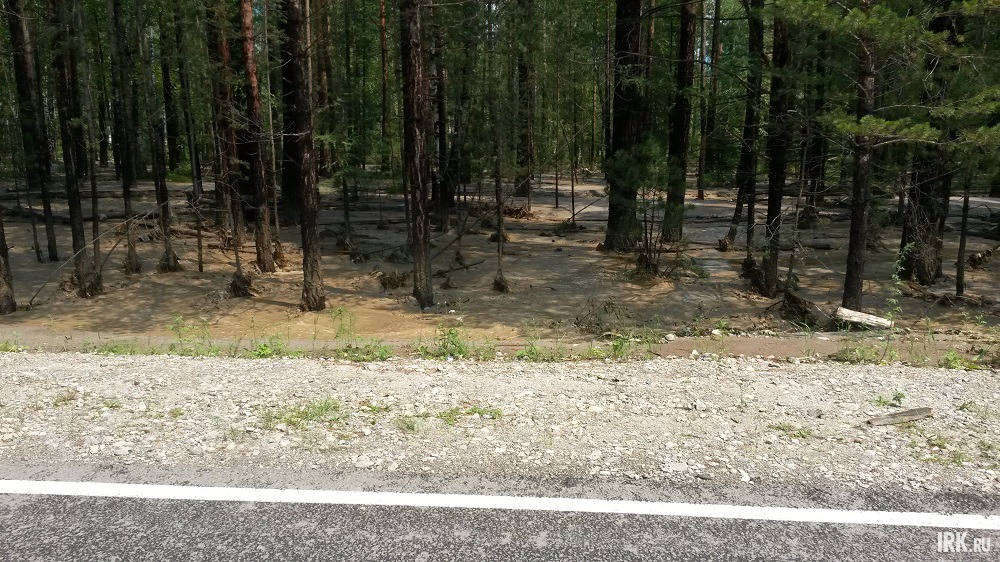 Автор фото – Клим Батороев