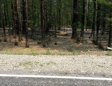 Автор фото – Клим Батороев