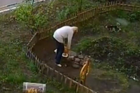 Скриншот видео с камер наблюдения