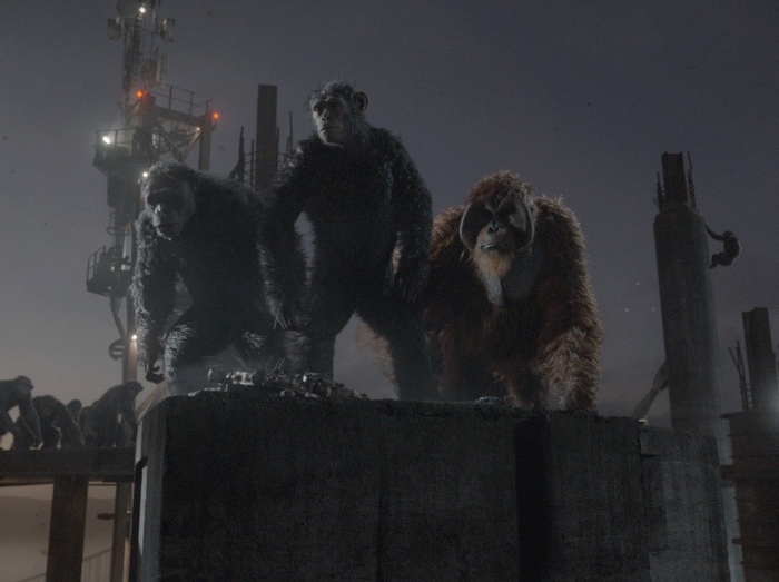 Кадр из фильма «Планета обезьян: Революция». Фото с сайта www.kinopoisk.ru