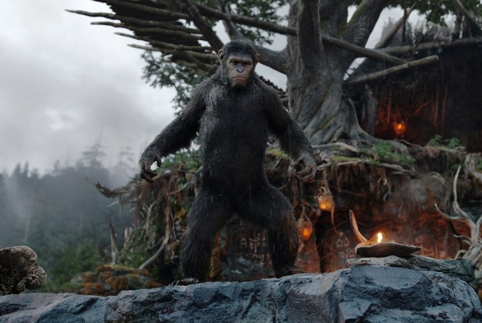 Кадр из фильма «Планета обезьян: Революция». Фото с сайта www.kinopoisk.ru