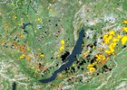 Изображение с сайта vlupachi.cartodb.com