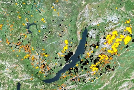 Изображение с сайта vlupachi.cartodb.com