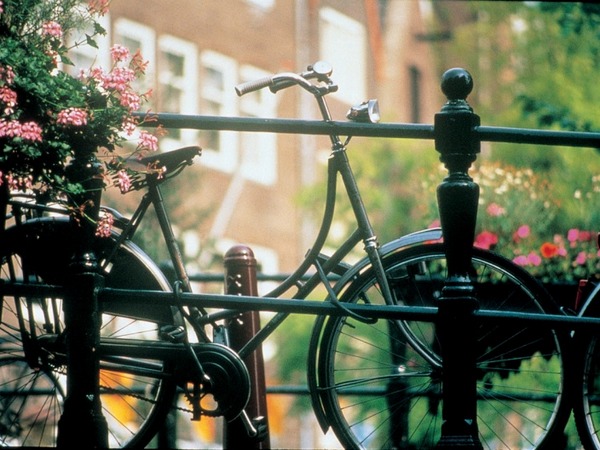 Главный символ Амстердама. Фото с сайта www.tonkosti.ru