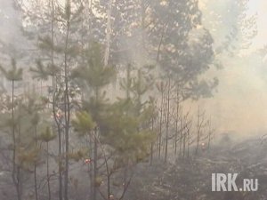Пожар в лесу. Фото из архива «АС Байкал ТВ»