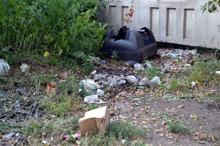 Местные жители выкидывают мусор на территории сада