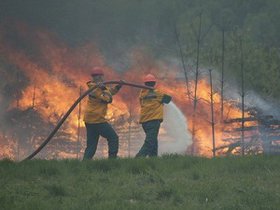 Лесной пожар. Фото с сайта www.38.mchs.gov.ru