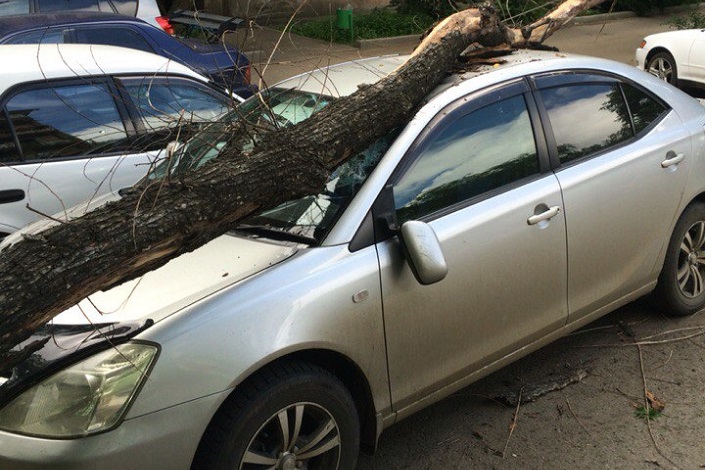 Фото «ДТП 38RUS»