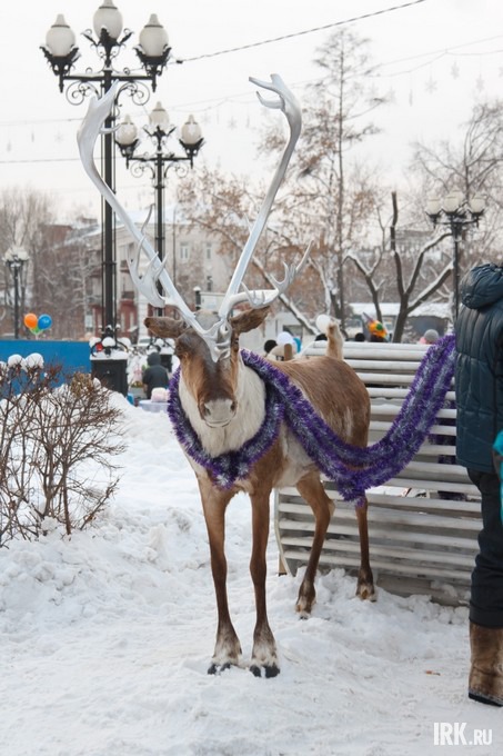 Открытие главной городской елки в Иркутске. Фото Владимира Смирнова.