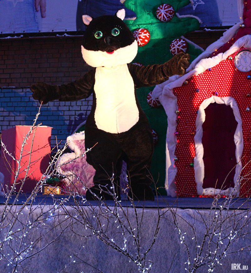 Бабрик. Фото Никиты Добрынина.