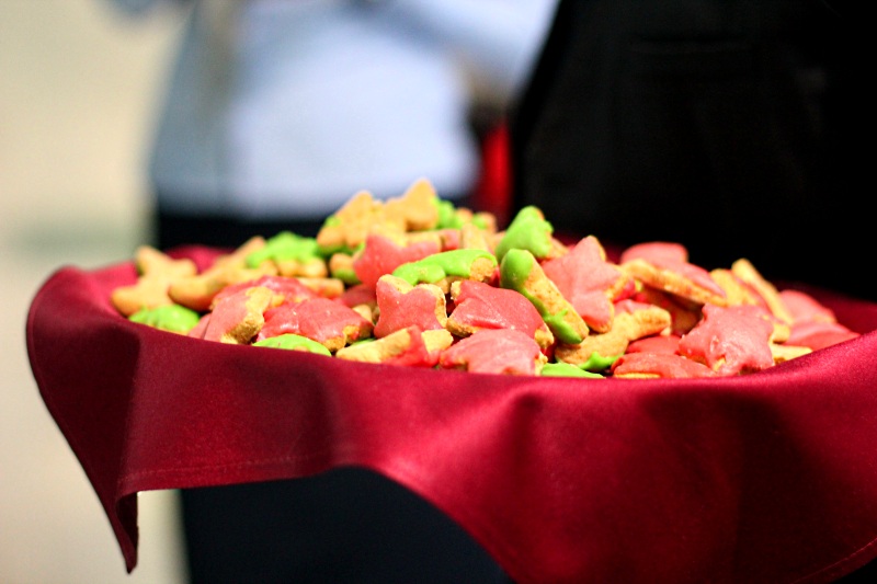 Угощение от ресторана «Европа»