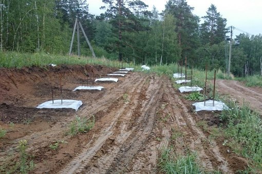 Где-то «Варяг» вообще ничего не построил. Кому-то повезло больше — у них есть фундамент. Изображение взято из группы ООО «Варяг» в контакте