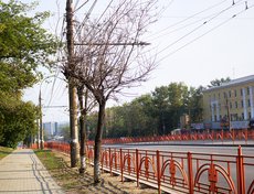 Улица Лермонтова