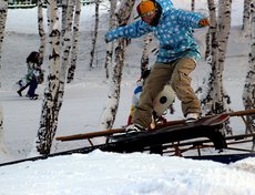 На горке в Академгородке