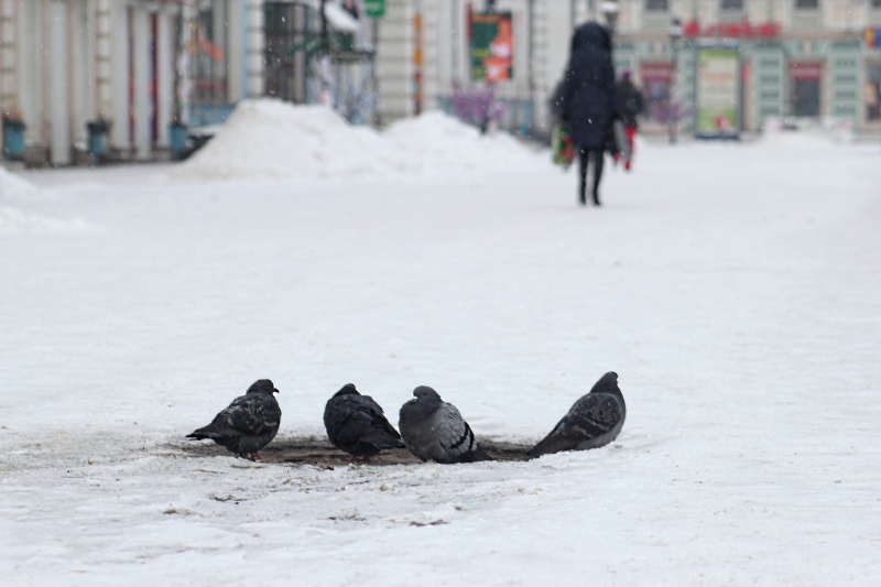 Утро нового года