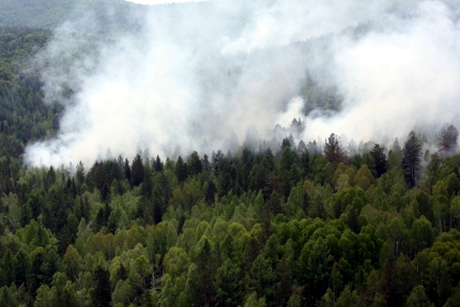 Крупнейший лесной пожар на площади 14 тысяч га в Иркутской области ликвидирован