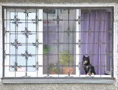 «Лисиха — молодой, перспективный и развивающийся район» — начинает свою фотоэкскурсию Любовь.