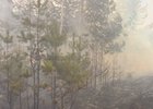 Пожар в лесу. Фото из архива «АС Байкал ТВ»
