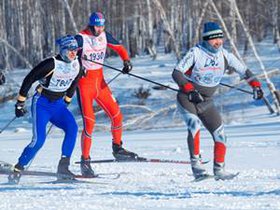 Лыжники. Фото Алексея Ильина