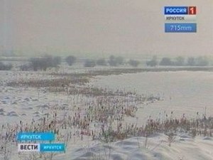 Новоленинские болота. Фото Вести-Иркутск