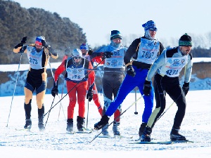 Лыжная гонка. Автор фото - Алексей Ильин
