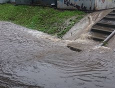 Во дворе на улице 4-я Советская. Фото прислал Антон
