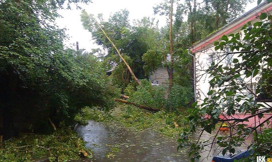 Дерево упало во дворе дома № 4 по улице Чайковского. Фото «ДТП 38RUS»