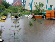 ДНТ «Имени 4-ой Пятилетки». Фото прислал Никита Трифонов