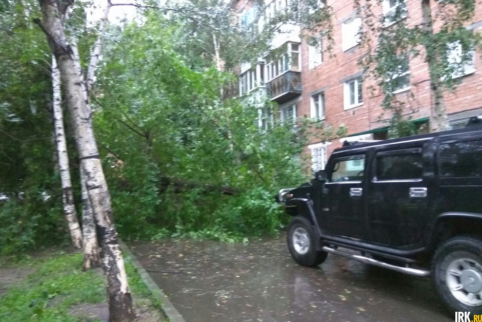 Поваленное дерево около дома 69 по улице Александра Невского. Фото Ксении Исаковой