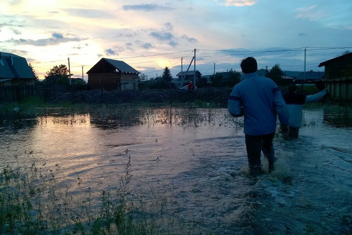 Садоводство в Иркутске. Фото из группы «Подслушано Иркутск»