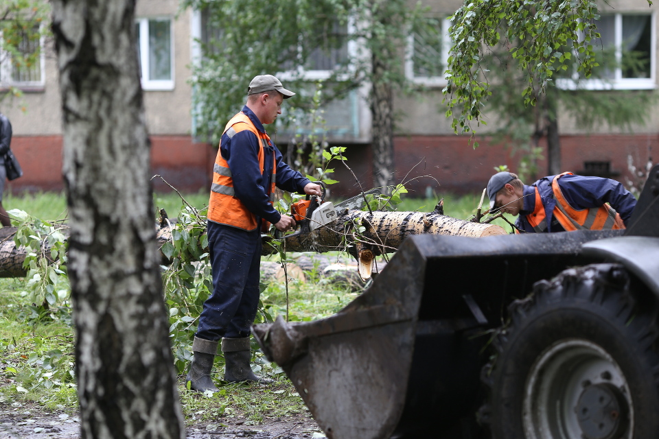 В микрорайоне Приморский распиливали упавшие деревья.