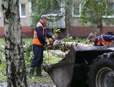 В микрорайоне Приморский распиливали упавшие деревья.