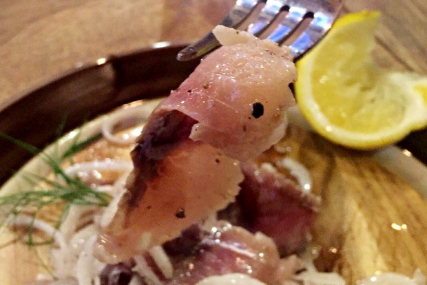 Муравьед ожидал ароматной закуски, которая разбудит аппетит. Но чуда не произошло.